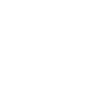 Iso 27001 gecertificeerd logo